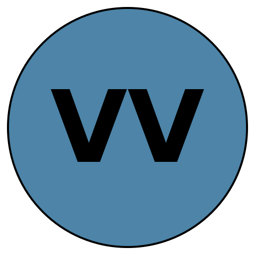 Venture Values